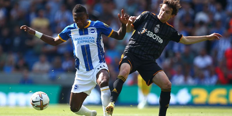 Phong độ giữa Leeds United vs Brighton Hove Albion